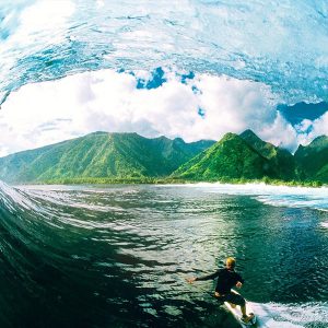 人力资源外包的优势和服务内容是什么？￼