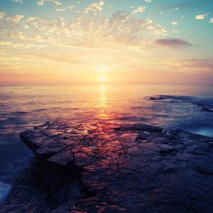 企业如何控制好业务外包的风险?